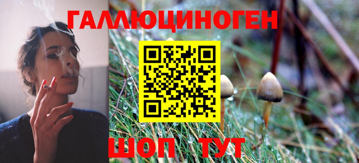 Моршанск  Псилоцибиновые грибы мицелий  Вход с VPN  Псилоцибиновые грибы Psilocybe 